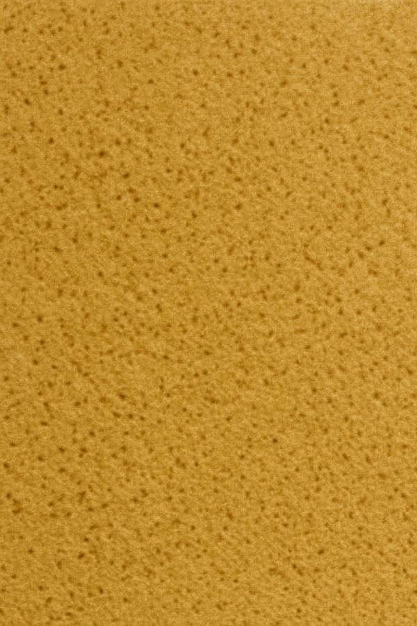 PS 1639 Ivory