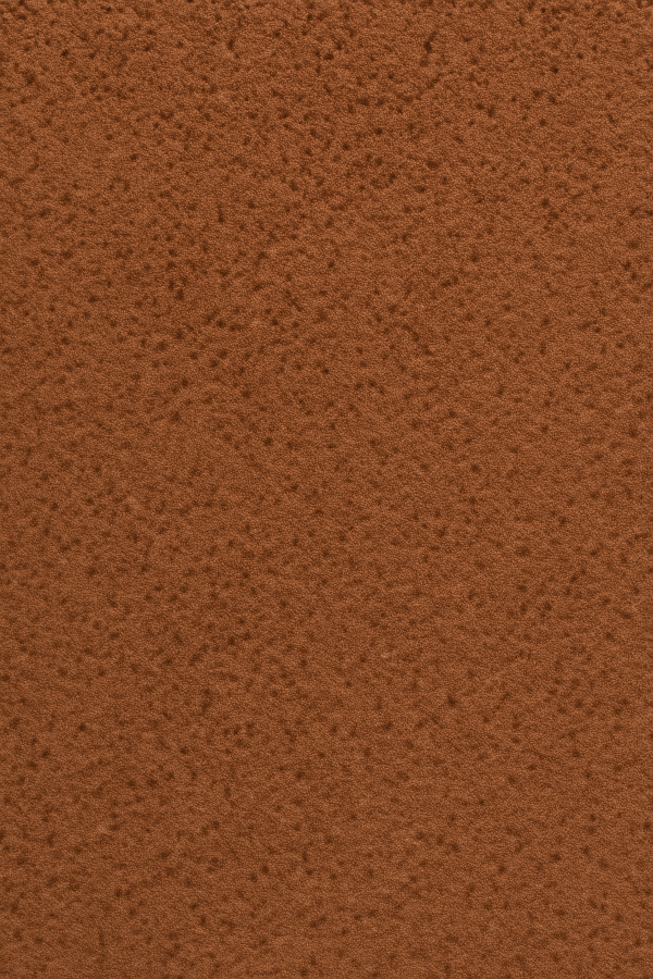 PS 02 Cappuccino