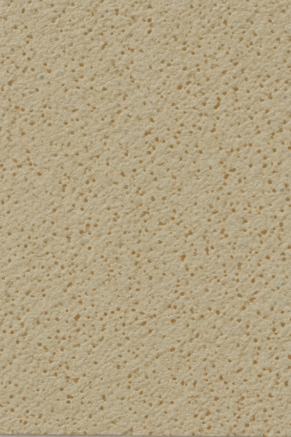 PS 4673 Off White