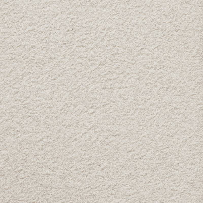 PS 219 Dirty White