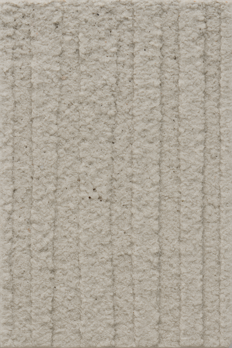 PS 219 Dirty White