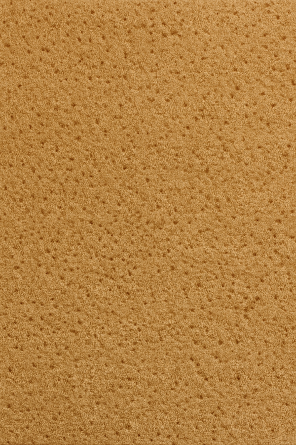 PS 18 Cornelian