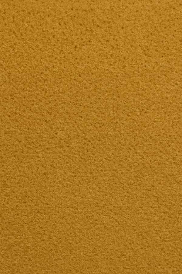 PS 3009 Butter Milk