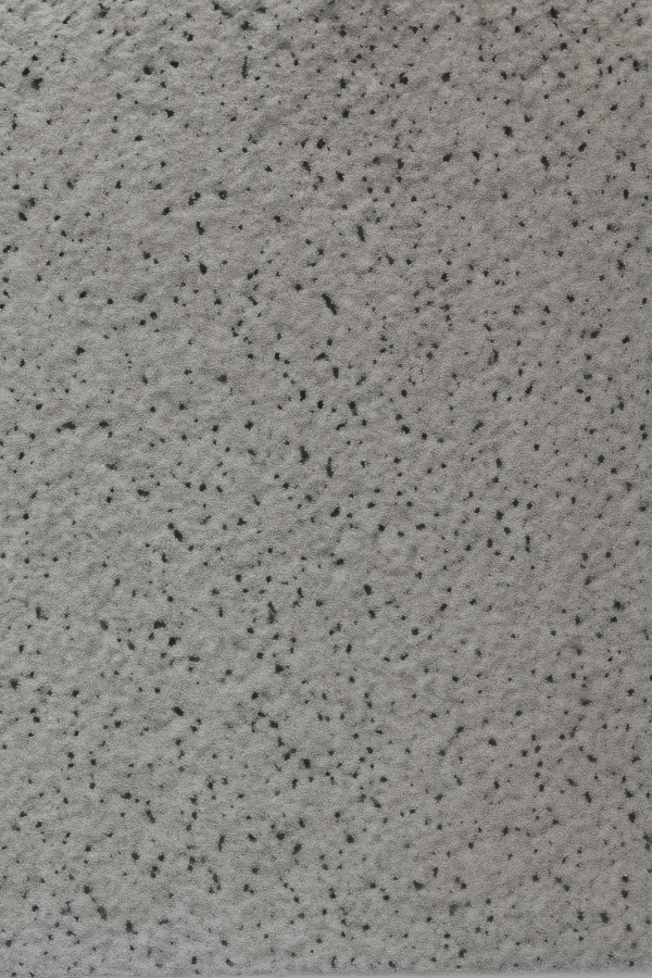 PS 2750 Silver