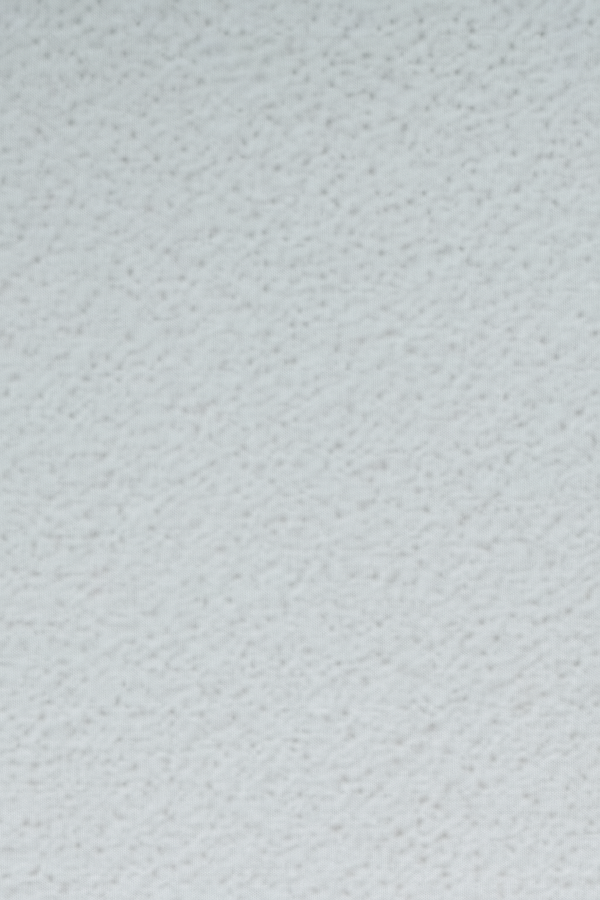PS F16 True White