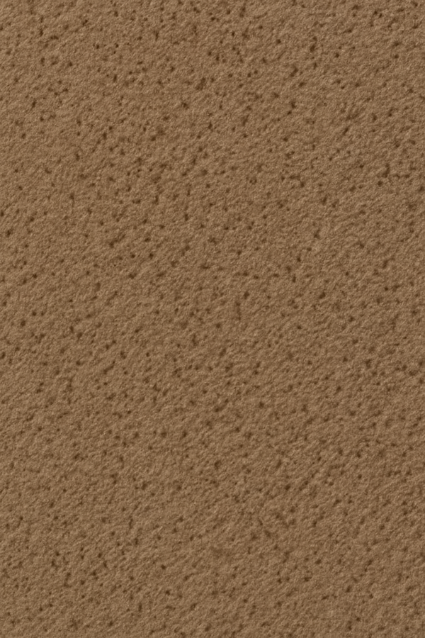 PS 21 Beige