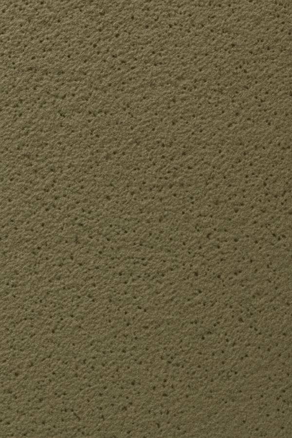 PS 3801 Dark Beige